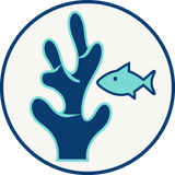 Reef Friendly icon